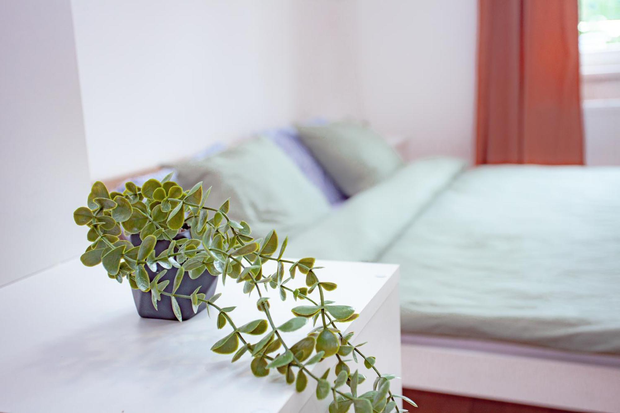 Elegance Apartament *